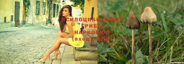 винт Верхний Тагил