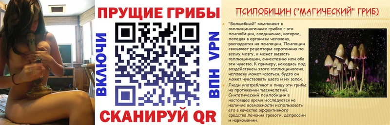 Псилоцибиновые грибы мухоморы  где можно купить   Вязьма 