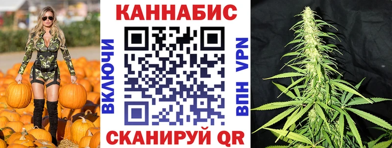 Бошки марихуана White Widow  наркошоп  Вязьма 